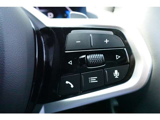 ＢＭＷ ３シリーズ ３３０ｅ　Ｍスポーツ R6年 (近畿) 99