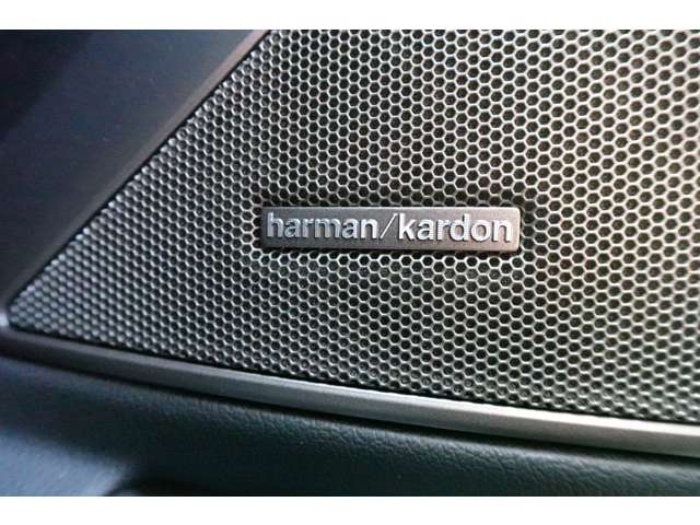 ＢＭＷ ３シリーズ ３３０ｅ　Ｍスポーツ R6年 (近畿) 99