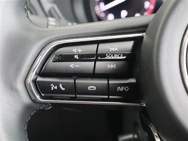 マツダ ＣＸ−６０ ２．５ ２５Ｓ Ｌパッケージ R6年 (東海) 99