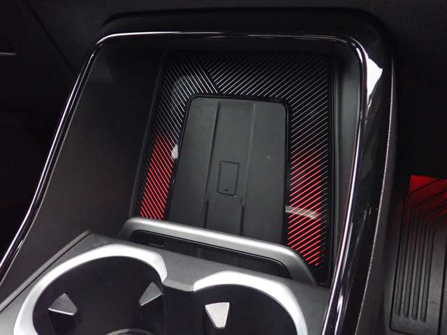 ＢＭＷ Ｘ１ Ｘドライブ２０Ｉ Ｍスポーツ ＤＣＴ ４ＷＤ R5年 (関東) 99