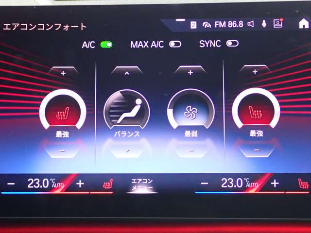 ＢＭＷ Ｘ１ Ｘドライブ２０Ｉ Ｍスポーツ ＤＣＴ ４ＷＤ R5年 (関東) 99