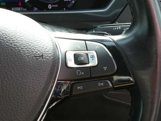 フォルクスワーゲン ティグアン ＴＳＩ　ハイライン H30年 (関東) 99