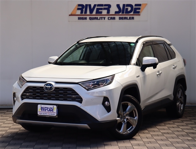 トヨタ ＲＡＶ４ ２．５ ハイブリッド Ｇ Ｅ－ＦＯＵＲ ４ＷＤ R1年 (関東) 99
