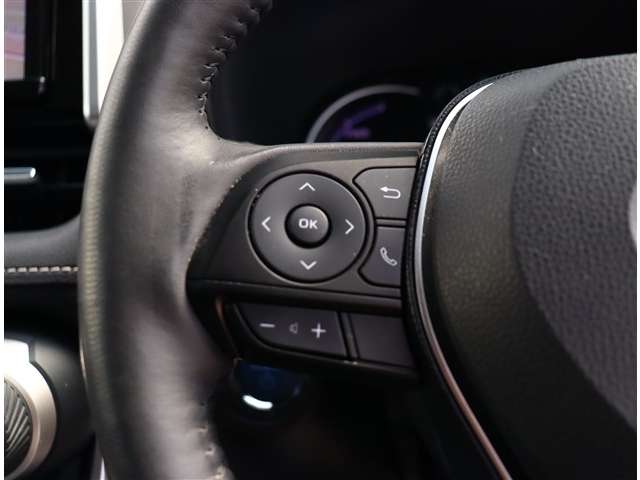 トヨタ ＲＡＶ４ ２．５ ハイブリッド Ｇ Ｅ－ＦＯＵＲ ４ＷＤ R1年 (関東) 99