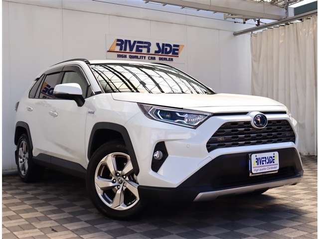 トヨタ ＲＡＶ４ ２．５ ハイブリッド Ｇ Ｅ－ＦＯＵＲ ４ＷＤ R1年 (関東) 99