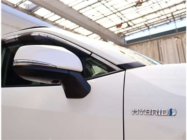 トヨタ ＲＡＶ４ ２．５ ハイブリッド Ｇ Ｅ－ＦＯＵＲ ４ＷＤ R1年 (関東) 99