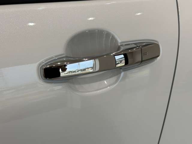 トヨタ ライズ　ハイブリッド ハイブリッド １．２ Ｚ R6年 (中国) 99