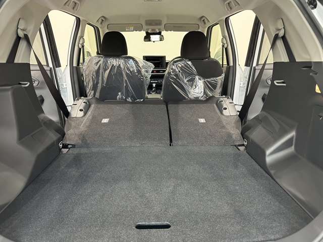 トヨタ ライズ　ハイブリッド ハイブリッド １．２ Ｚ R6年 (中国) 99