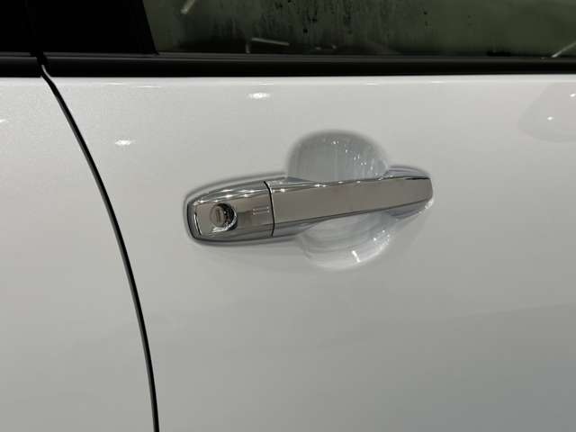 トヨタ ライズ　ハイブリッド ハイブリッド １．２ Ｚ R6年 (中国) 99