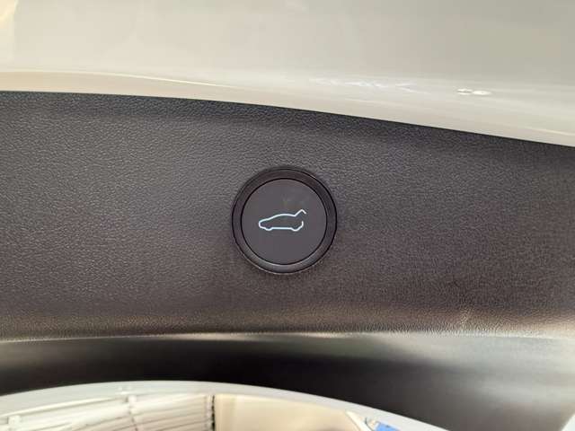 テスラ モデル３ ロングレンジ R4年 (関東) 99