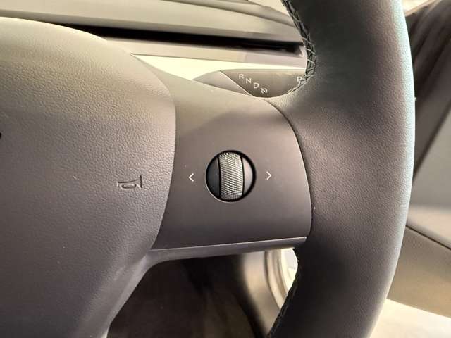 テスラ モデル３ ロングレンジ R4年 (関東) 99