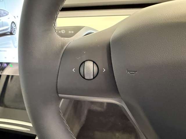 テスラ モデル３ ロングレンジ R4年 (関東) 99