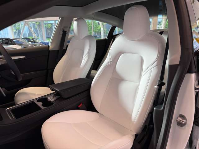 テスラ モデル３ ロングレンジ R4年 (関東) 99