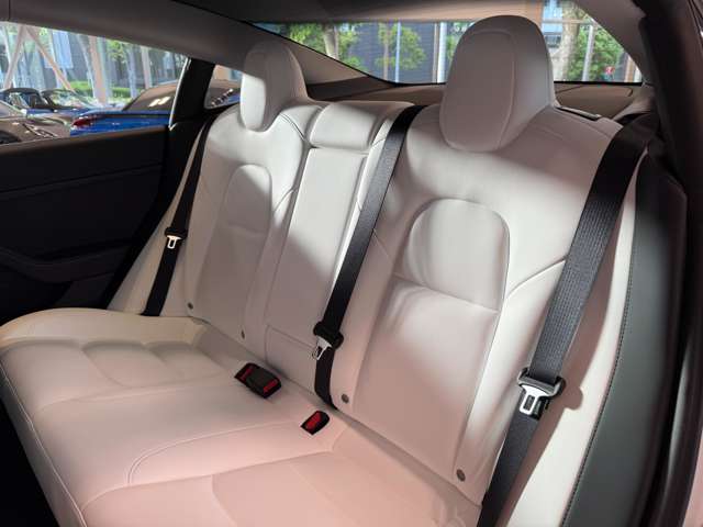 テスラ モデル３ ロングレンジ R4年 (関東) 99