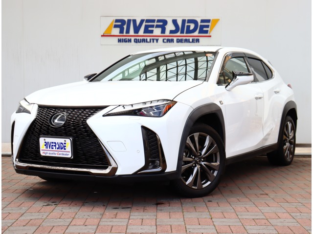 レクサス ＵＸ２００ Ｆスポーツ R1年 (関東) 99