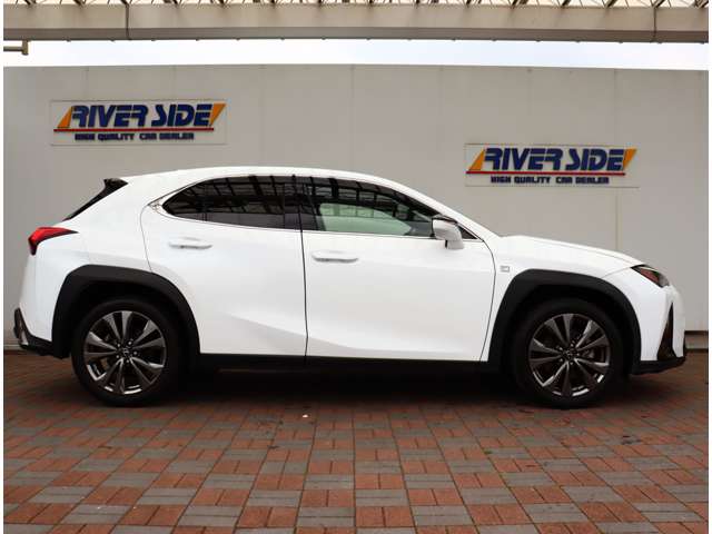 レクサス ＵＸ２００ Ｆスポーツ R1年 (関東) 99