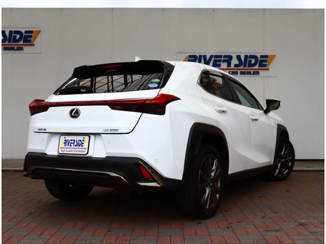 レクサス ＵＸ２００ Ｆスポーツ R1年 (関東) 99