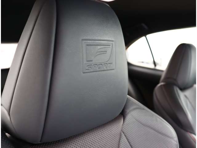 レクサス ＵＸ２００ Ｆスポーツ R1年 (関東) 99