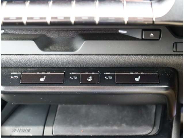 レクサス ＵＸ２００ Ｆスポーツ R1年 (関東) 99