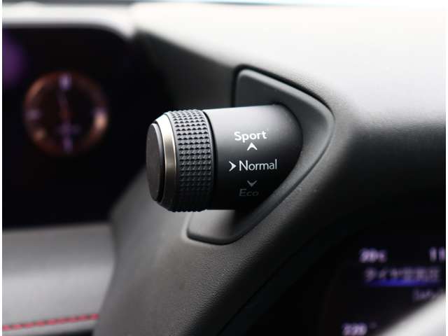 レクサス ＵＸ２００ Ｆスポーツ R1年 (関東) 99