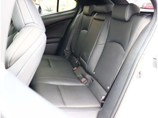 レクサス ＵＸ２００ Ｆスポーツ R1年 (関東) 99