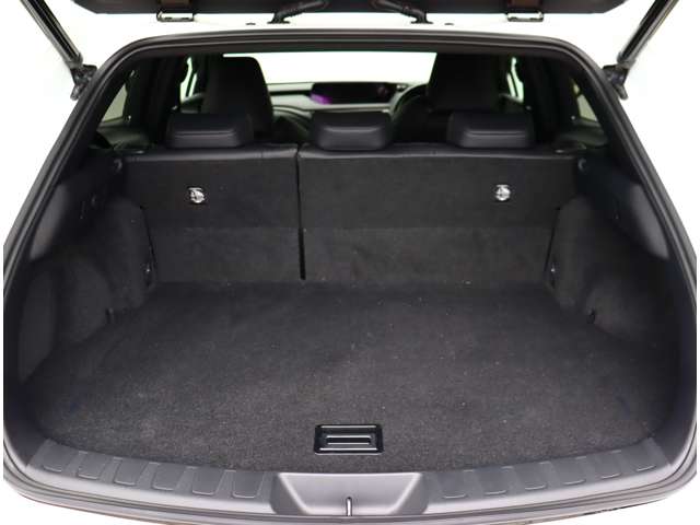 レクサス ＵＸ２００ Ｆスポーツ R1年 (関東) 99