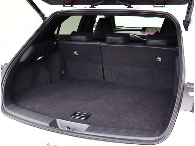 レクサス ＵＸ２００ Ｆスポーツ R1年 (関東) 99