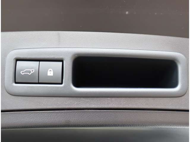 レクサス ＵＸ２００ Ｆスポーツ R1年 (関東) 99