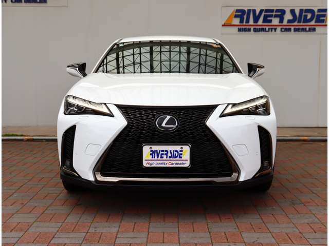 レクサス ＵＸ２００ Ｆスポーツ R1年 (関東) 99