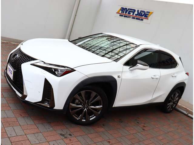 レクサス ＵＸ２００ Ｆスポーツ R1年 (関東) 99