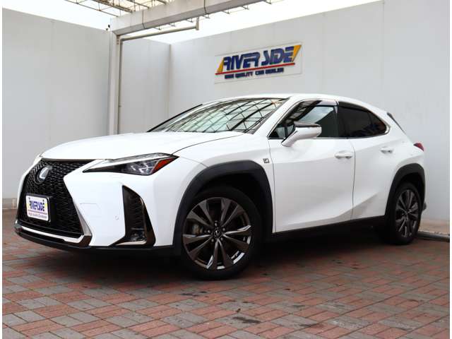 レクサス ＵＸ２００ Ｆスポーツ R1年 (関東) 99