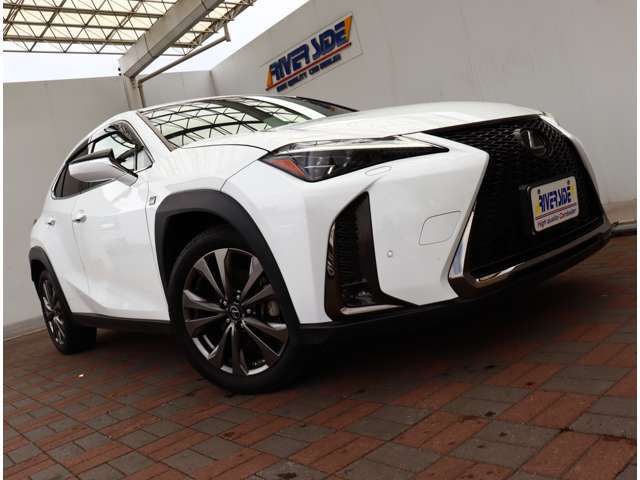 レクサス ＵＸ２００ Ｆスポーツ R1年 (関東) 99