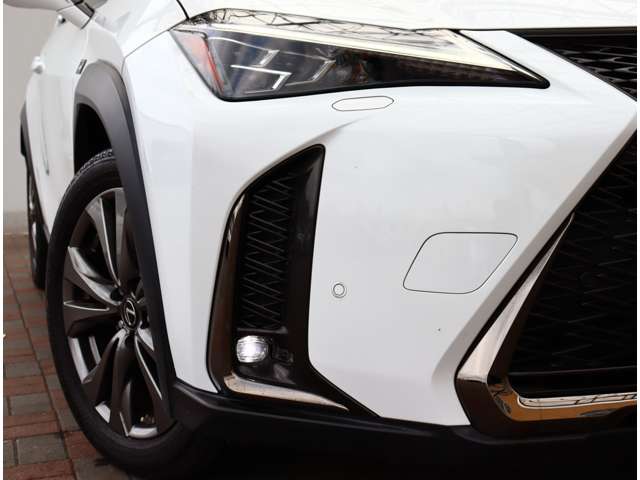 レクサス ＵＸ２００ Ｆスポーツ R1年 (関東) 99