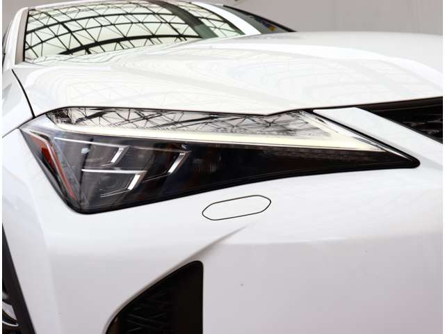 レクサス ＵＸ２００ Ｆスポーツ R1年 (関東) 99