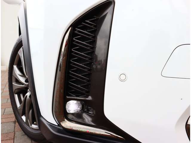 レクサス ＵＸ２００ Ｆスポーツ R1年 (関東) 99