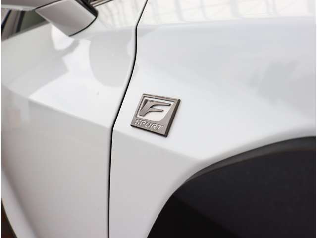 レクサス ＵＸ２００ Ｆスポーツ R1年 (関東) 99