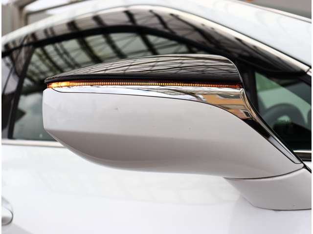 レクサス ＵＸ２００ Ｆスポーツ R1年 (関東) 99