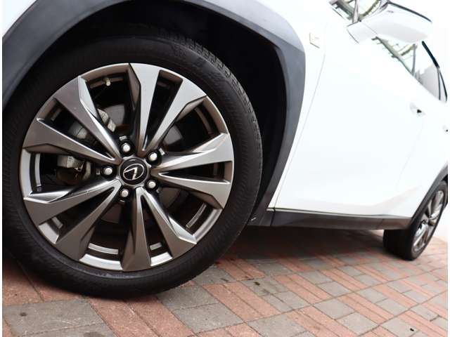 レクサス ＵＸ２００ Ｆスポーツ R1年 (関東) 99