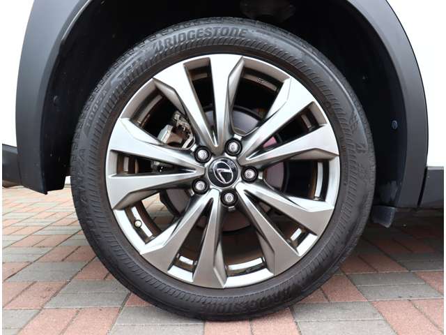 レクサス ＵＸ２００ Ｆスポーツ R1年 (関東) 99