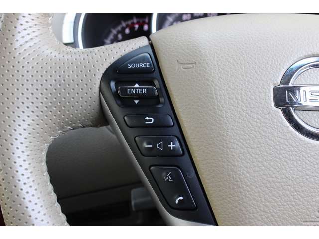 日産 ムラーノ ２．５ ２５０ＸＶ H22年 (関東) 99