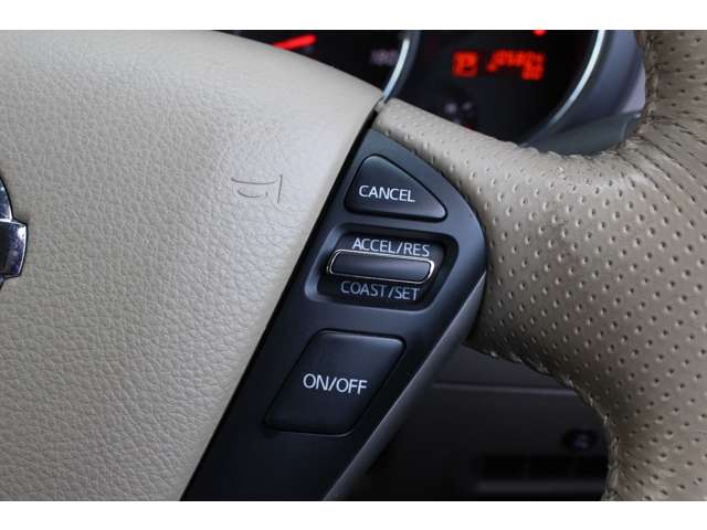 日産 ムラーノ ２．５ ２５０ＸＶ H22年 (関東) 99