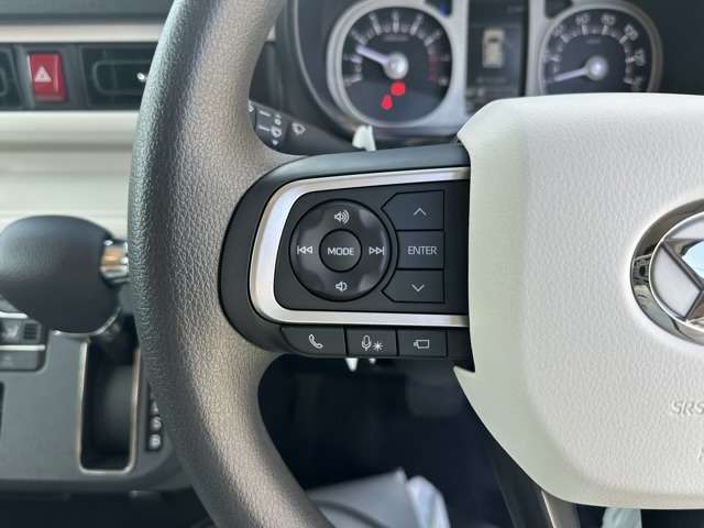 ダイハツ ムーヴ　キャンバス ６６０ ストライプス Ｇ R6年 (東海) 99