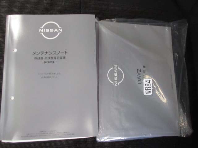 日産 デイズ ６６０ ハイウェイスターＸ R6年 (九州・沖縄) 99