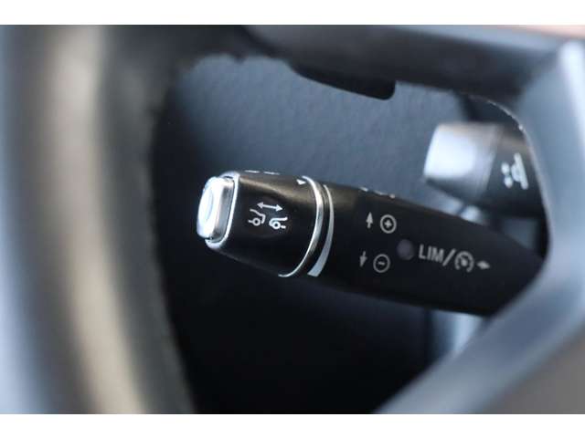 メルセデスベンツ Ｇクラス Ｇ３５０Ｄ ロング ディーゼルターボ ４ＷＤ H28年 (近畿) 99