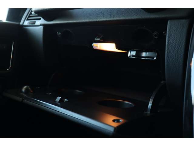 メルセデスベンツ Ｇクラス Ｇ３５０Ｄ ロング ディーゼルターボ ４ＷＤ H28年 (近畿) 99