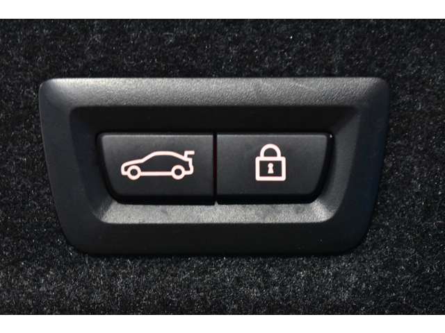 ＢＭＷ ３シリーズ Ｍ３４０Ｉ Ｘドライブ ４ＷＤ R2年 (関東) 99