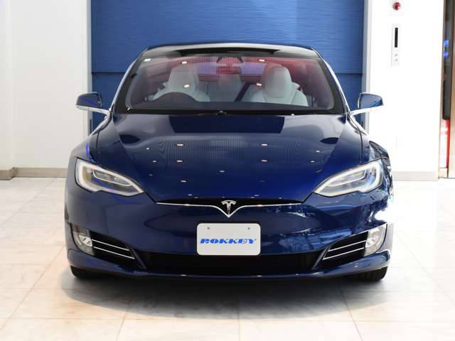 テスラ モデルＳ １００Ｄ H30年 (関東) 99