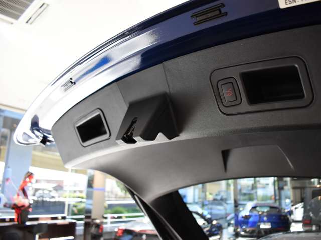 テスラ モデルＳ １００Ｄ H30年 (関東) 99