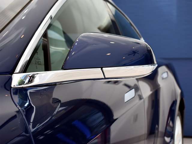 テスラ モデルＳ １００Ｄ H30年 (関東) 99
