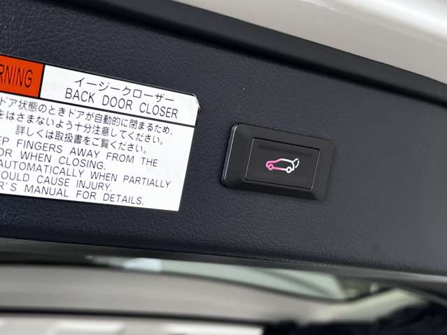 トヨタ ヴェルファイア ２．５ Ｚ H30年 (関東) 99